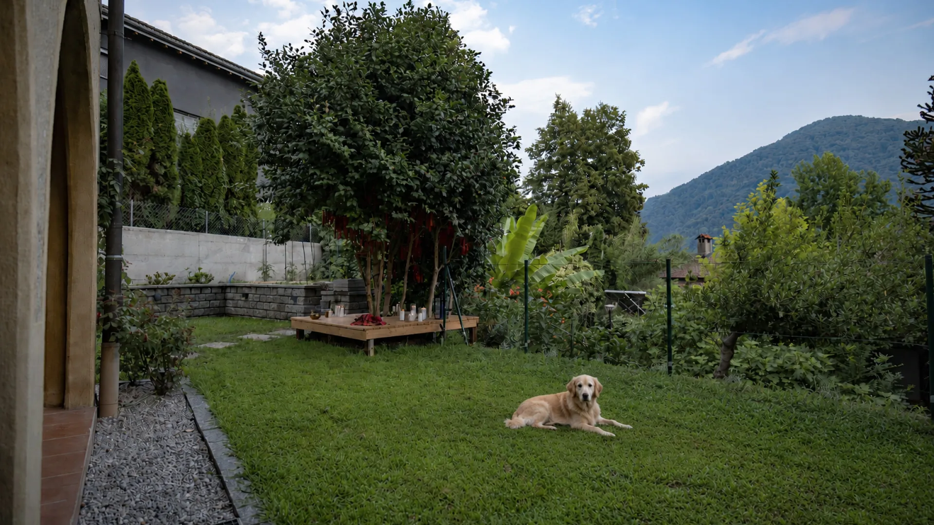 Ferien mit Hund